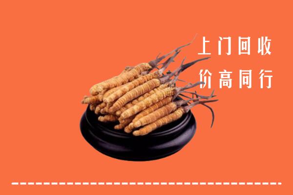 附近收购：固原冬虫夏草回收多少钱每克